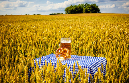 scenic beergarden outdoor corn field の写真素材