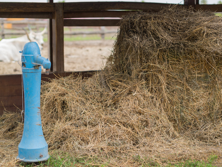 blue artesian water fountain on the farmの写真素材
