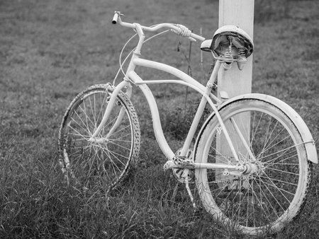 abandoned white bicycle on the large meadowの写真素材