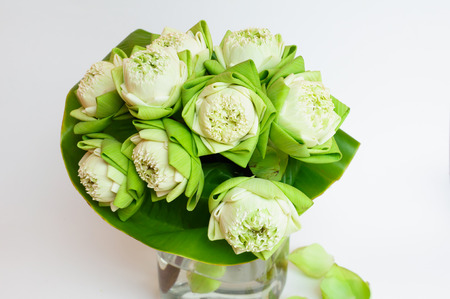 green white lotus flower in glass jugの写真素材