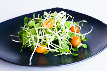 salad mix sunflower and small tomatoの写真素材