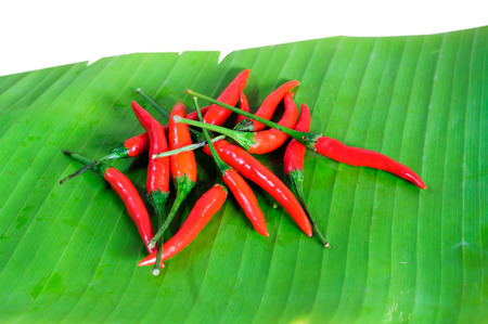 fresh red chilli on banana leaf precook thai food and asia foodの写真素材