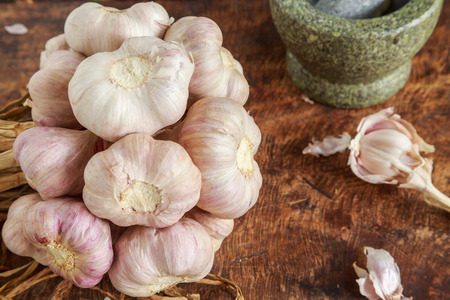 Garlic whole and cloves organic and mortar on wooden backgroundの写真素材