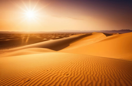 Sand dunes, morning, sunrise in the desertの素材