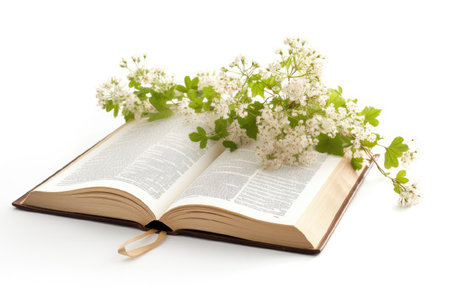 Bouquet of flowers on an open book on white backgroundの素材