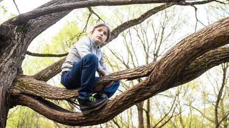 Young boy sitting on a tree branch in the spring forest, outdoor shotの写真素材
