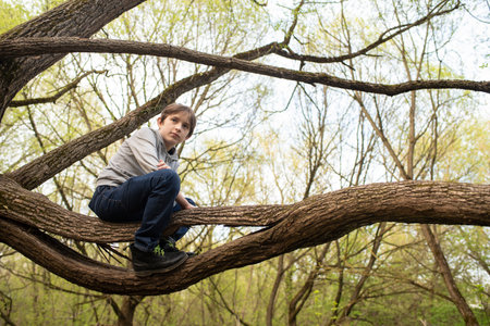 Young boy sitting on a tree branch in the spring forest, looking at cameraの写真素材