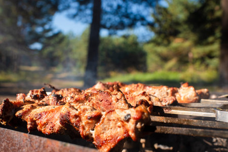shashlik on skewers, fried on a grill in the forest outdoors in the summer.の写真素材