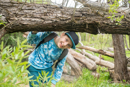 Portrait of a smiling 12 year old boy in the forest. The child bends down to walk under a fallen tree.の写真素材