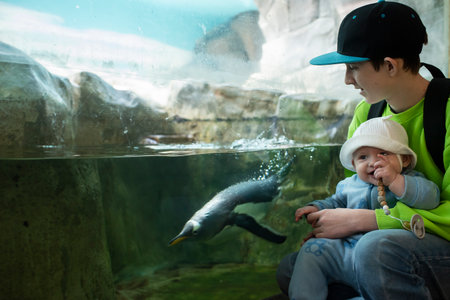 A teenage boy and his baby brother sit by the glass, behind which a penguin swims underwater. At the Zoo.の写真素材