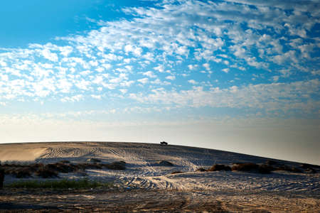 Landscape of the sand dunes of the Negev desert in Israel