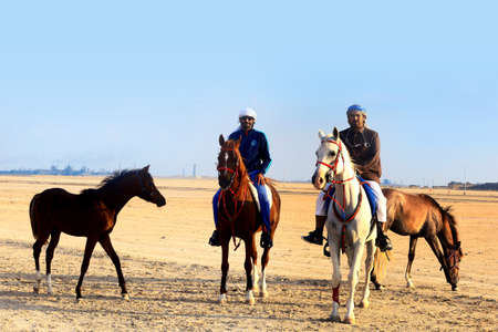 Horse riding competitions in the desertの写真素材