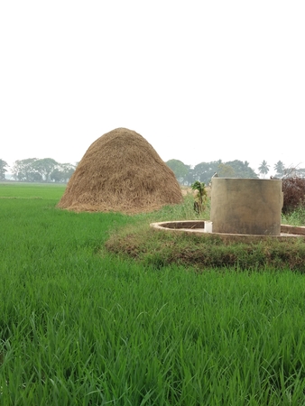 green fields viewの写真素材