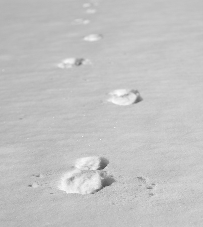 Footprints in the snow on a sunny day.Very cold.の写真素材