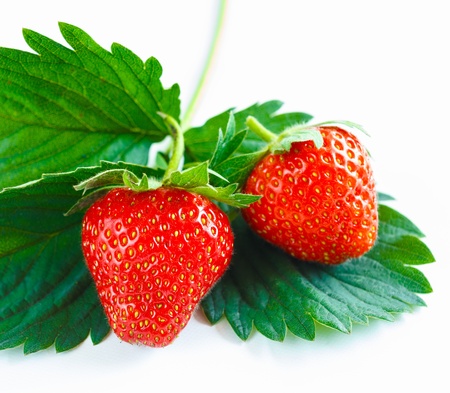 Close-up of two fresh vibrant strawberries.Green strawberry leaves.の写真素材