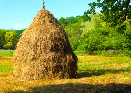 Close-up of a single big haystack near green forest in summer season.の写真素材