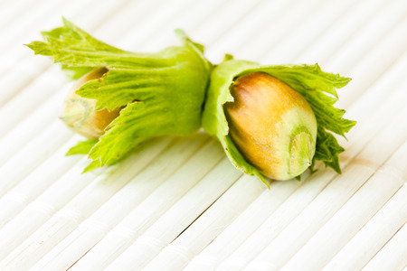 Closeup of two hazelnuts on white bamboo tableclothの写真素材