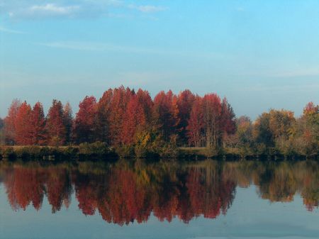 reflective river lined with green and orange foliage under clear blue skyの写真素材
