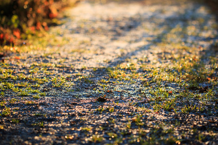Macro close-up of backlit frosty path during winterの写真素材