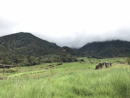 Mountain pastureの写真素材