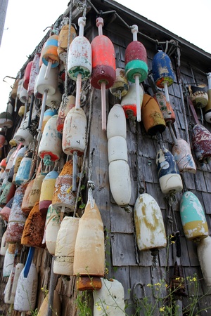 Bait Shopのeditorial素材