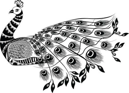 PEACOCK LINE ART DESIGN BLACK AND WHITE WITH FLOWER DESIGNのイラスト素材