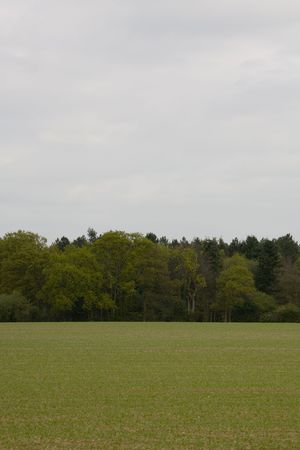 Landscape looking at shapes and detail shotの写真素材
