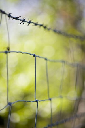 Background image looking at texture shape and color of thing all around us