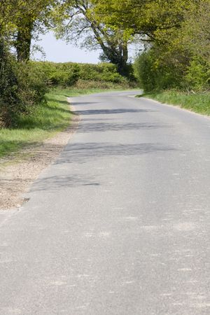 curved road down a country lane lined with green trees on both sides