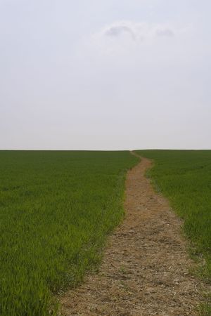path way made or cut in to a field going up a hill with a single cloud in the sky about the path wayの写真素材