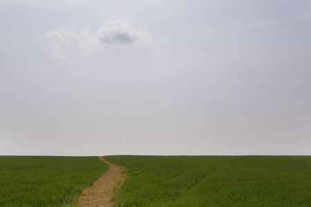 path way made or cut in to a field going up a hill with a single cloud in the sky about the path wayの写真素材
