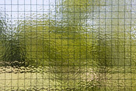 looking out of a window with background of trees out of focusの写真素材