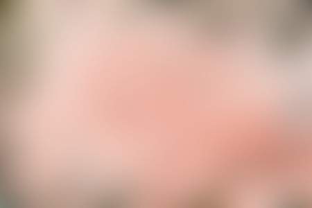 blurred and out of focus  for stock background ideasの写真素材
