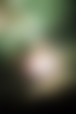 blurred and out of focus  for stock background ideasの写真素材