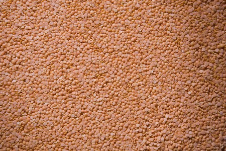 uncooked pile  of many lentils taken in the studioの写真素材
