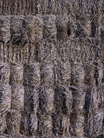 texture back ground image showing detail in things around usの写真素材