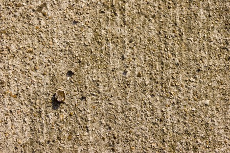 surface full of texture and patterns ideal for backgrounds you wish to add texture toの写真素材