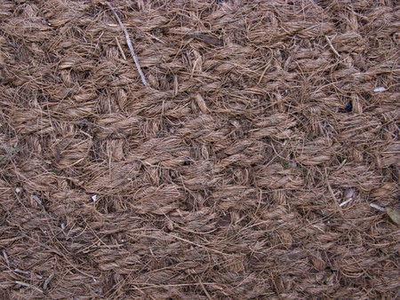 back ground imageの写真素材