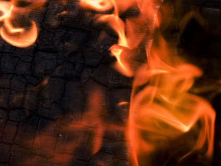 close of burning wood in an old oil drum