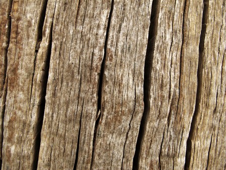 wood texture background