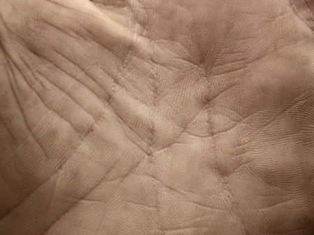 human skin background (hand)の写真素材