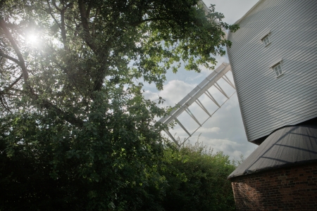 View of a windmill sails through a tree with the sunshining through the branchesの写真素材