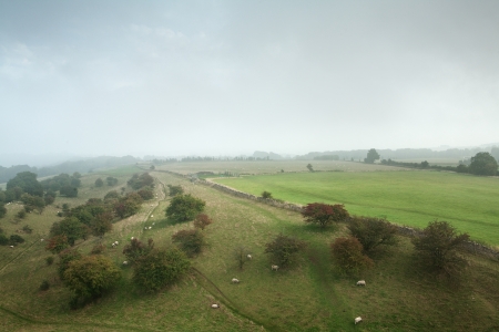 View of trees from a height, Englandの写真素材