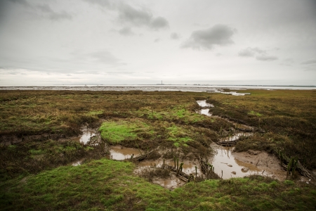 Shots taken around Two Tree Island の写真素材