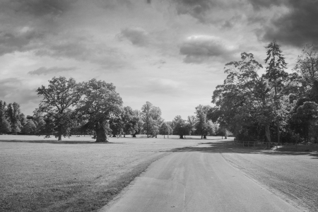Pathway through a woodland in Englandの写真素材