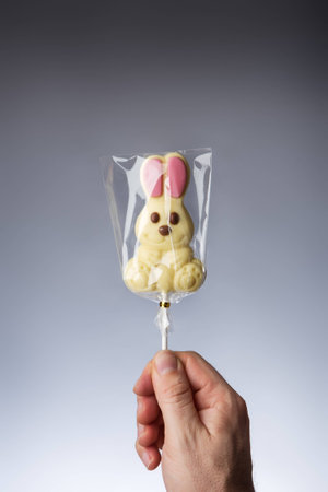 male hand holding a chocolate bunny lollipopの写真素材