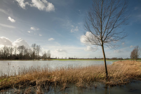 Flooded field after heavy rain in essex, england