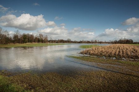 Flooded field after heavy rain in essex, england