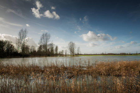 Flooded field after heavy rain in essex, england