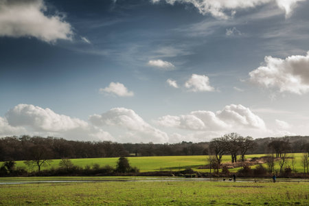 Flooded field after heavy rain in essex, englandの写真素材
